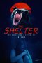 the-shelter