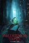 the-wilderness-tapes-volume-one