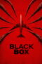 black-box-flight-298