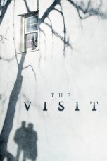 the-visit